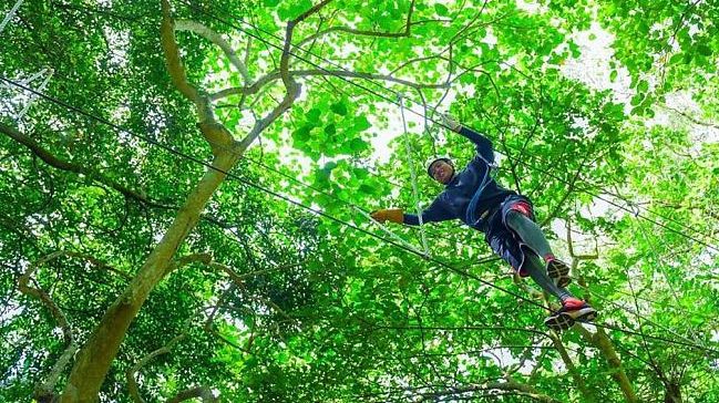 野 猴子 探險 森林票券資訊